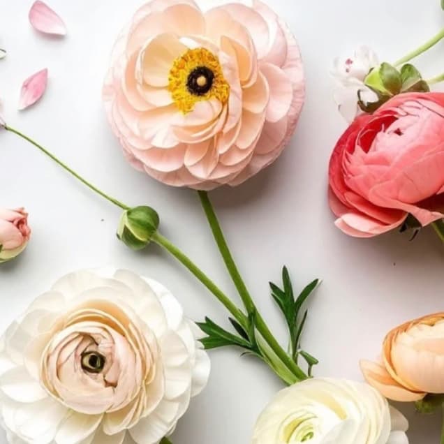 Mother’s Day Blowout Special at Blowout & Beauty Co. in Pensacola, FL