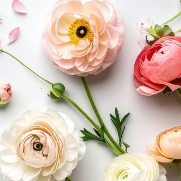 Mother’s Day Ext. Blowout Special at Blowout & Beauty Co. in Pensacola, FL